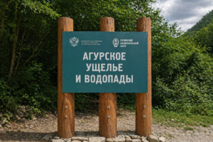 От входа к Агурским водопадам по лесной тропе